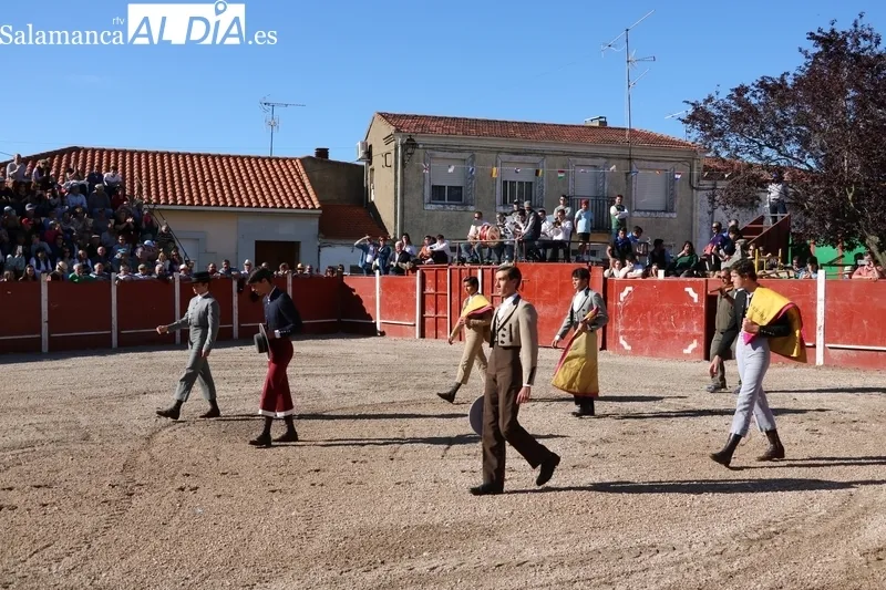 Entretenida tarde taurina en Olmedo de Camaces / CORRAL 