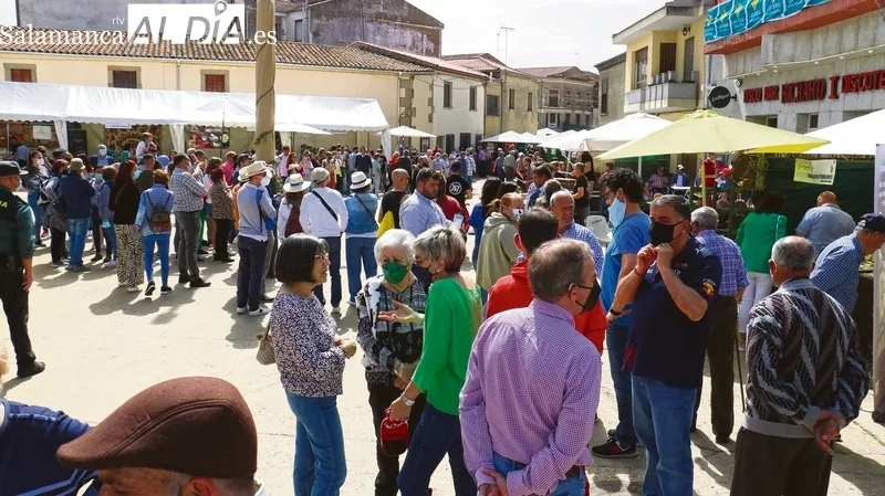 La Feria Internacional del Queso de Hinojosa ofrecerá distintas actividades paralelas a la muestra de productos  |  Fotos: Corral