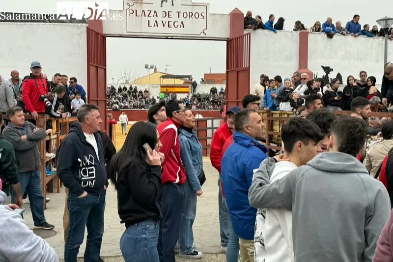 Toro del Voto en Villoria