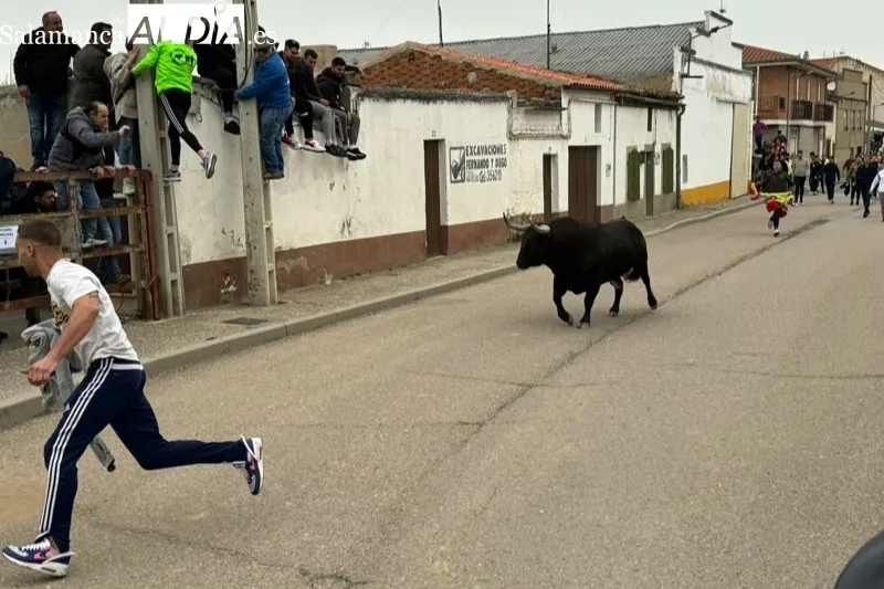 Toro del Voto en Villoria