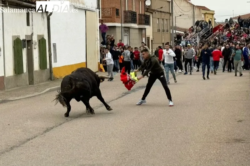 Toro del Voto en Villoria