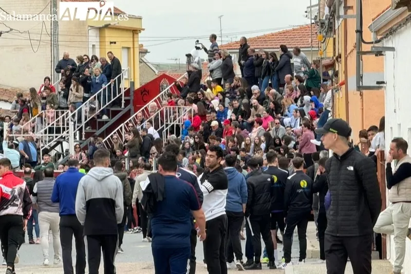 Toro del Voto en Villoria