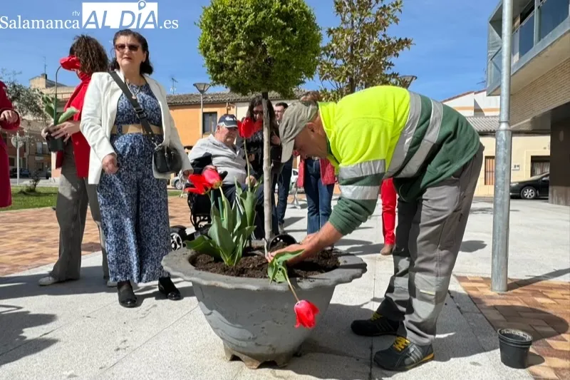 Peñaranda planta tulipanes para conmemorar el Día Mundial del Parkinson