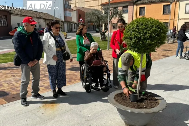 Peñaranda planta tulipanes para conmemorar el Día Mundial del Parkinson