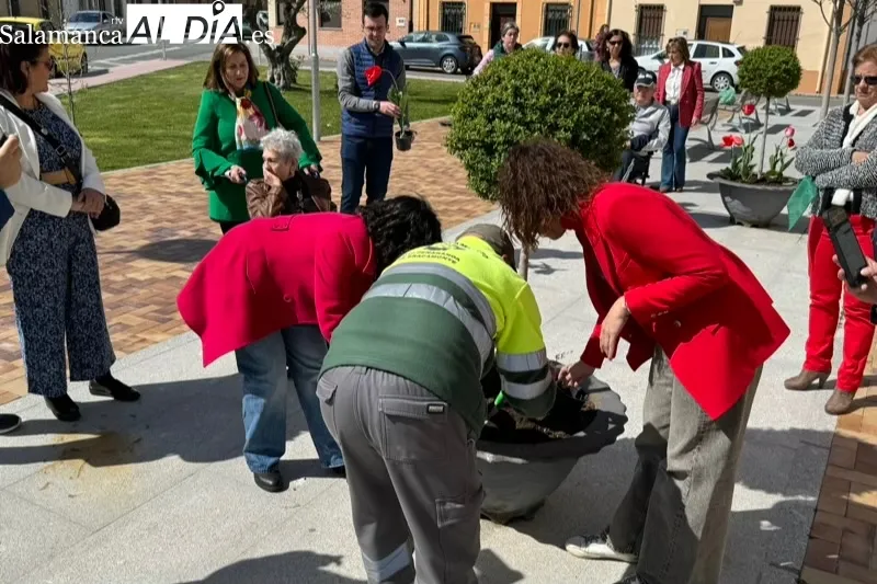Peñaranda planta tulipanes para conmemorar el Día Mundial del Parkinson