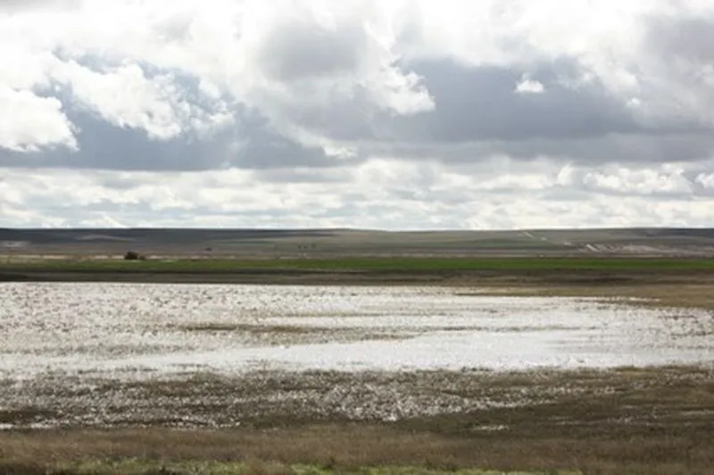 Lagunas de Villafáfila. Foto: lagunasdevillafafila.es
