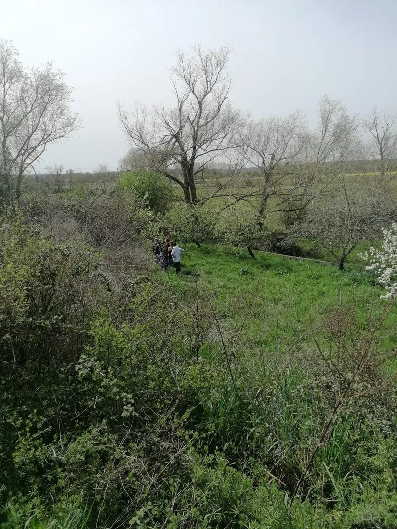 Actividades y proyectos en MolinoLab (Sancti-Spíritus).