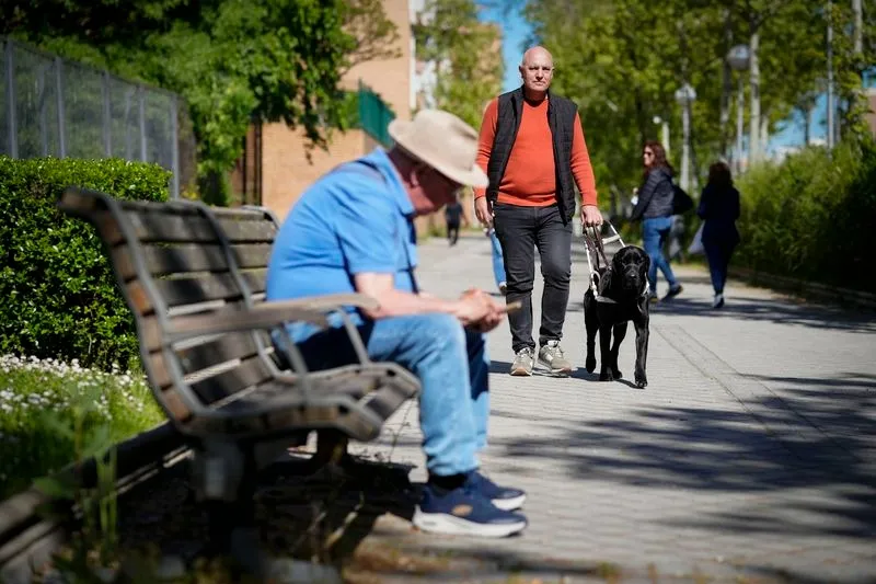 Perros guía de la ONCE junto a sus usuarios.