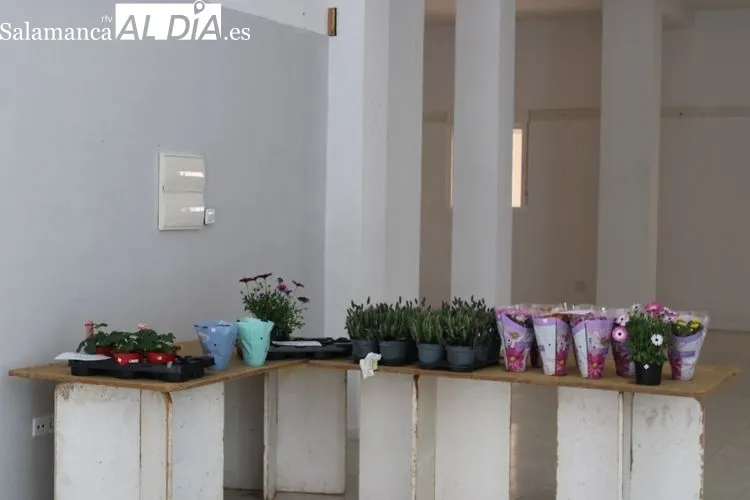 Foto 3 - Manos Unidas de Alba de Tormes termina la venta de plantas con &eacute;xito