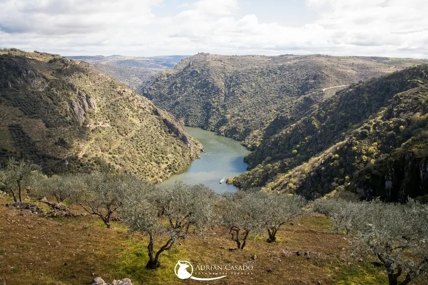 Uno de los paisajes que podrán ver los caballistas participantes en la ruta / FOTO: ADRIÁN CASADO