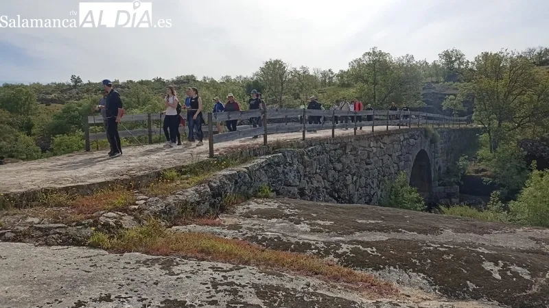 XII Marcha al Molino de Lucas en Cabeza del Caballo 