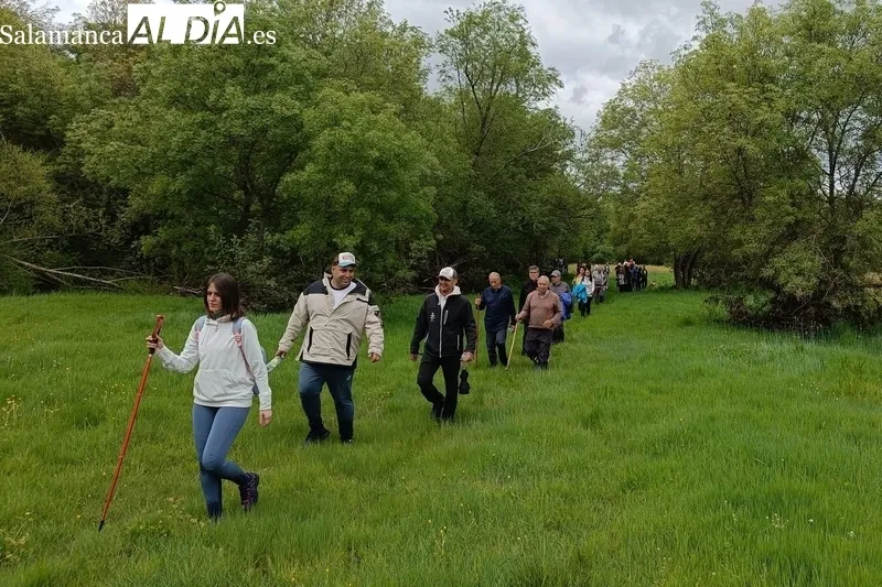 En Valderrodrigo celebraban este domingo su I Marcha Senderista, una excelente jornada para disfrutar de la naturaleza que rodea al río Uces  