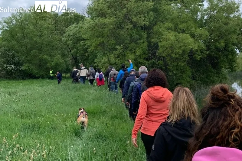 En Valderrodrigo celebraban este domingo su I Marcha Senderista, una excelente jornada para disfrutar de la naturaleza que rodea al río Uces  