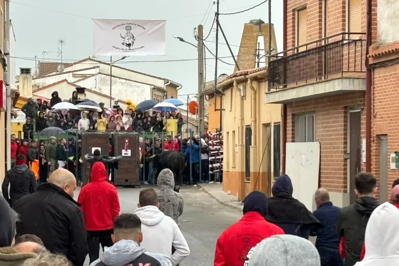 Foto 3 - Cantalapiedra se llena de aficionados para vivir el II Toro de la Misericordia