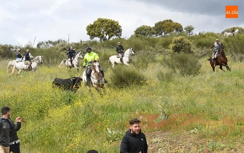Foto 10 - Complicado encierro a caballo en Gallegos con el ganado rebelde y mal tiempo
