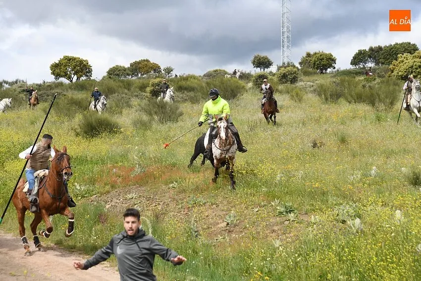 Foto 11 - Complicado encierro a caballo en Gallegos con el ganado rebelde y mal tiempo