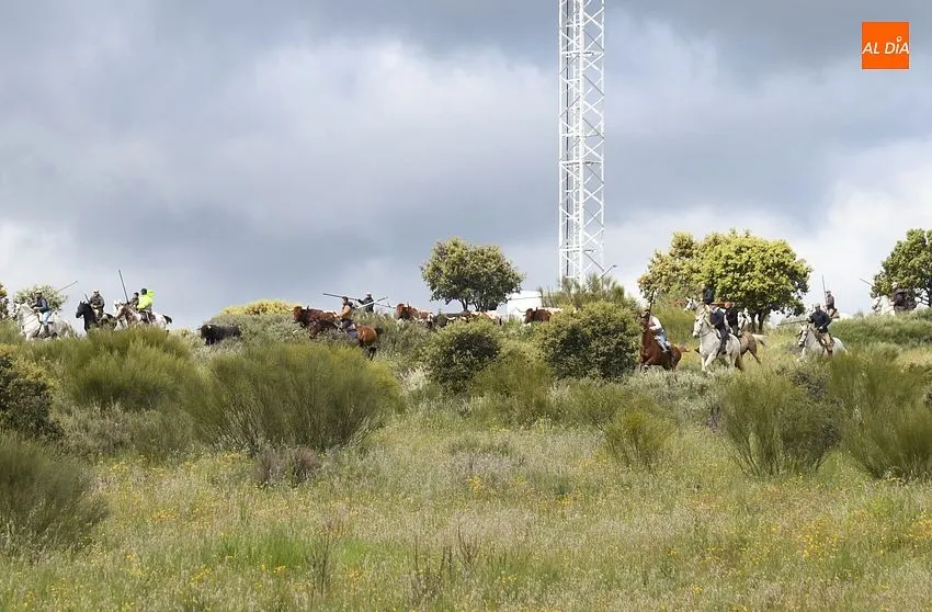 Foto 6 - Complicado encierro a caballo en Gallegos con el ganado rebelde y mal tiempo