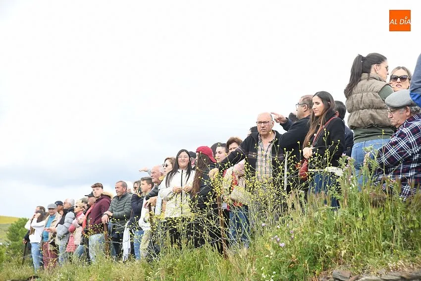 encierro a caballo gallegos de argañán