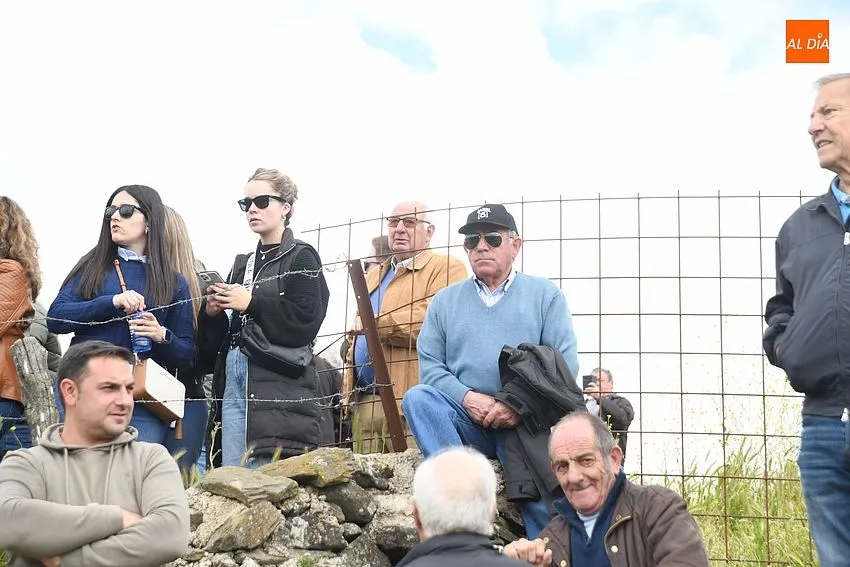 encierro a caballo gallegos de argañán