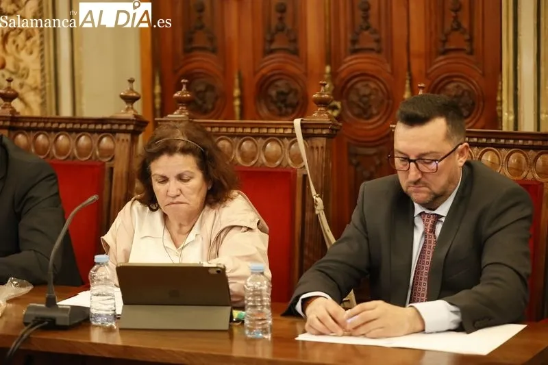 Pleno de la Diputación de Salamanca de este martes 30 de abril de 2024. Foto: David Sañudo
