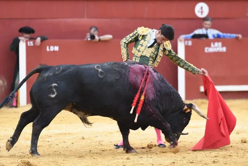  Gran dimensión de Manuel Diosleguarde en la Copa Chenel  | FOTOS: Copa Chenel