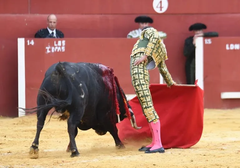  Gran dimensión de Manuel Diosleguarde en la Copa Chenel  | FOTOS: Copa Chenel