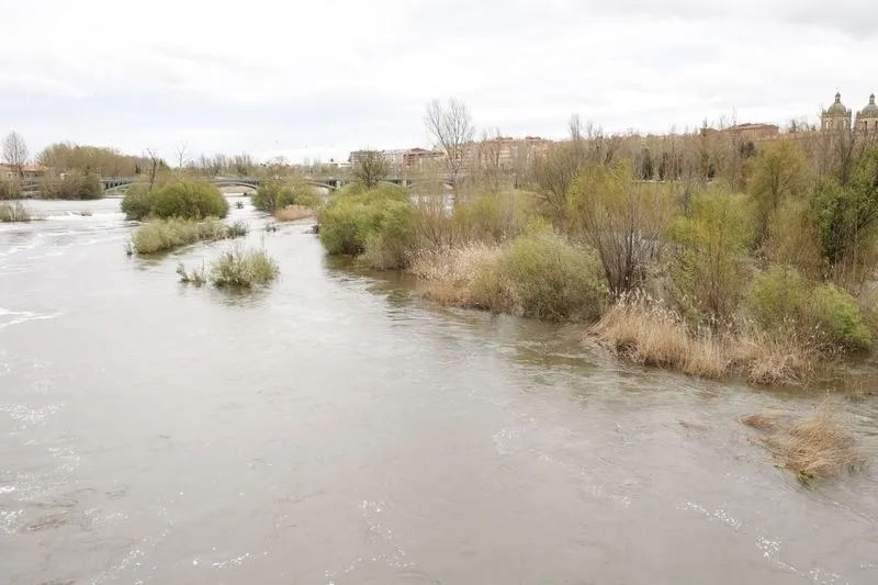 Así luce el río Tormes días después de la borrasca Nelson | FOTOS: David Sañudo 