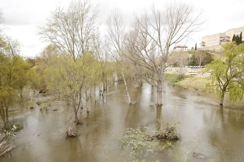 Así luce el río Tormes días después de la borrasca Nelson | FOTOS: David Sañudo 