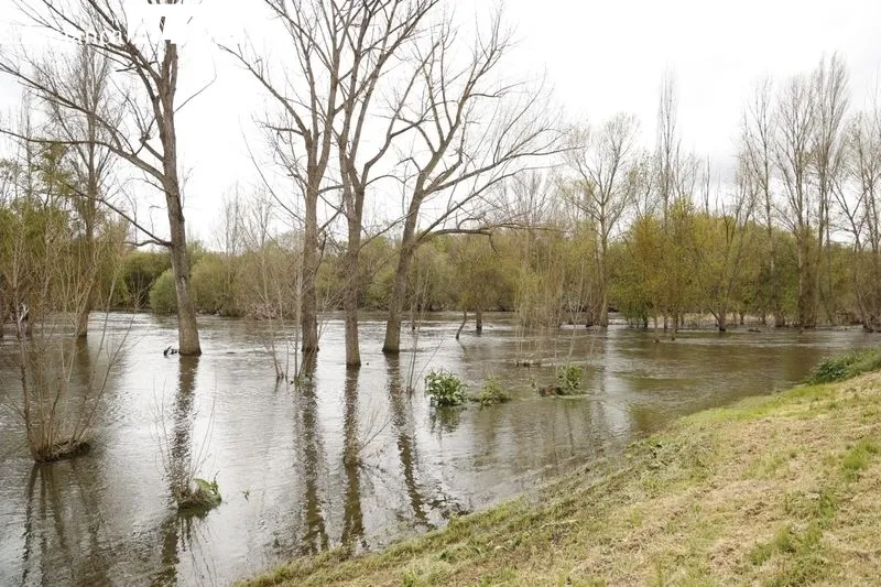 Así luce el río Tormes días después de la borrasca Nelson | FOTOS: David Sañudo 