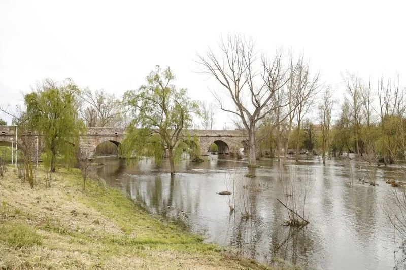 Así luce el río Tormes días después de la borrasca Nelson | FOTOS: David Sañudo 