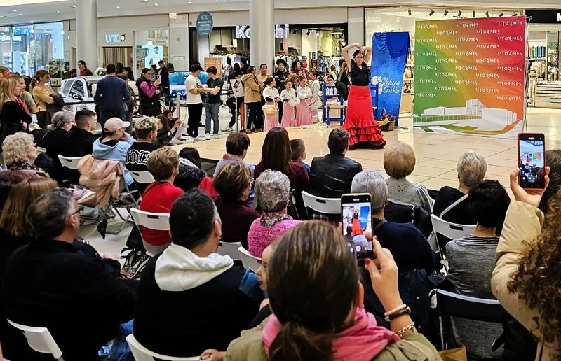 Flamenco en el Centro Comercial El Tormes.