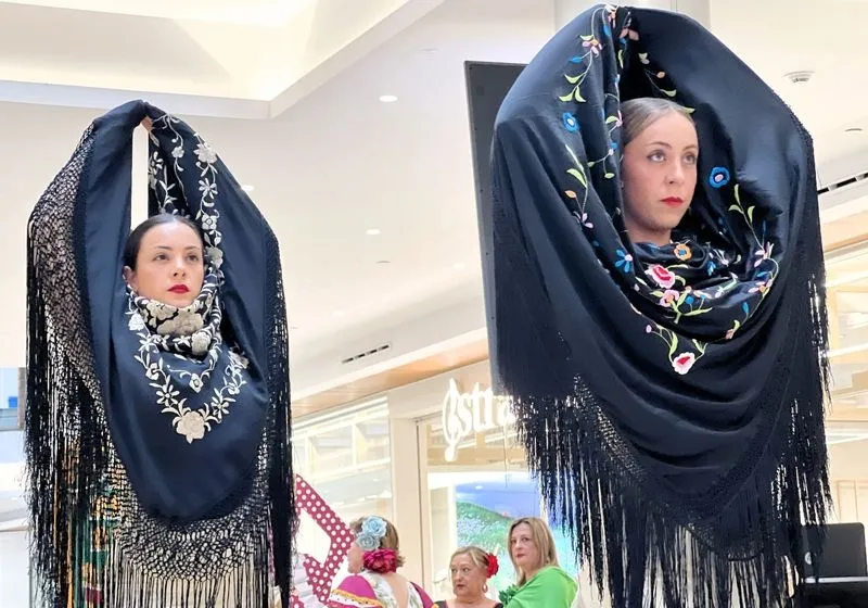 Flamenco en el Centro Comercial El Tormes.