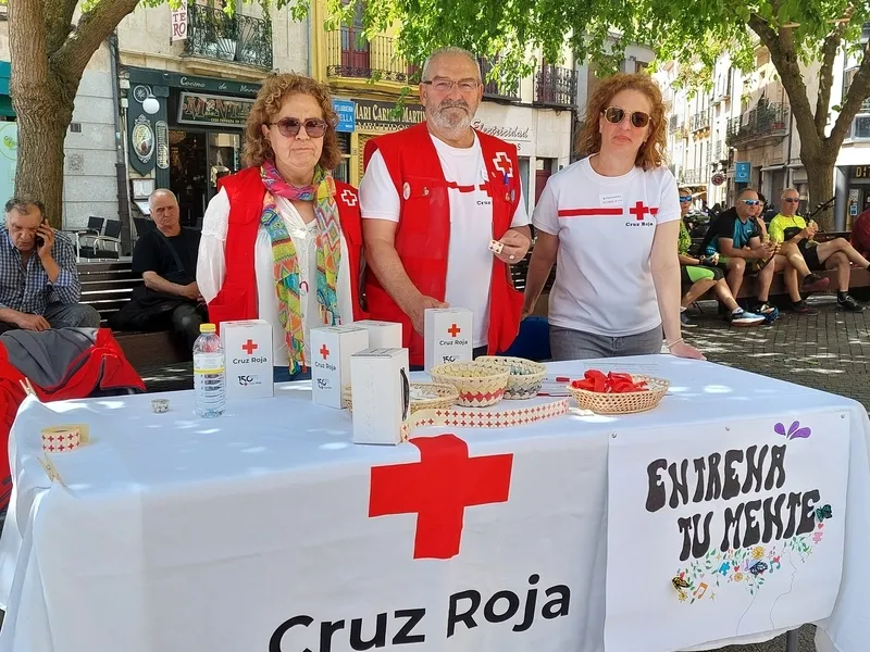 Voluntarios y trabajadores de Cruz Roja en el Día de la Banderita.