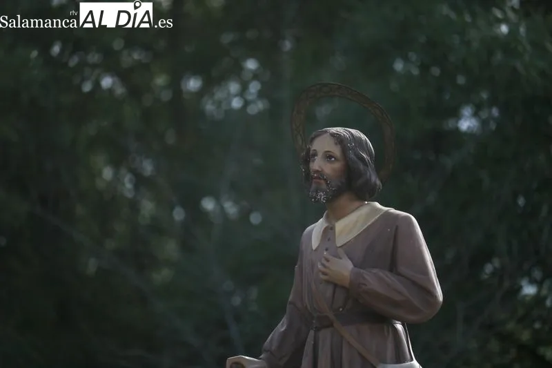 Procesión y bendición de campos en Bogajo con San Isidro / DANIEL ROMÁN