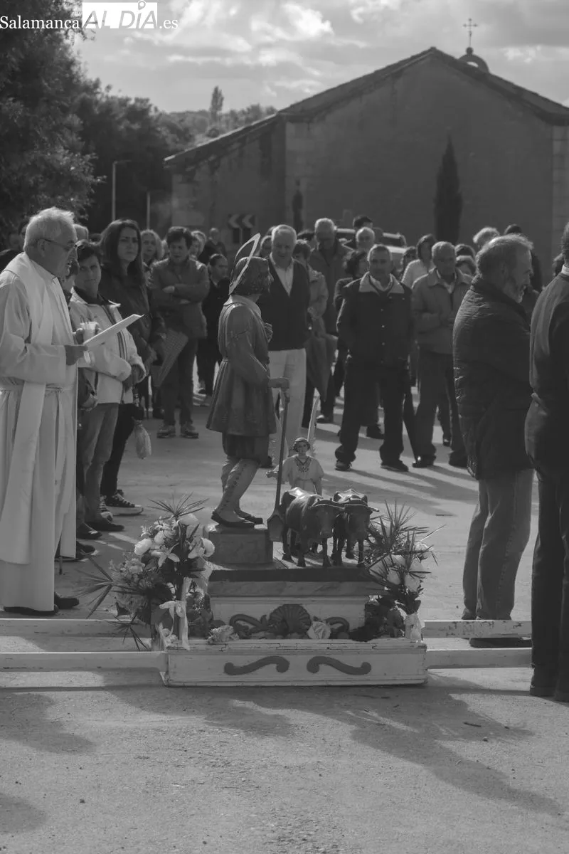 Procesión y bendición de campos en Bogajo con San Isidro / DANIEL ROMÁN