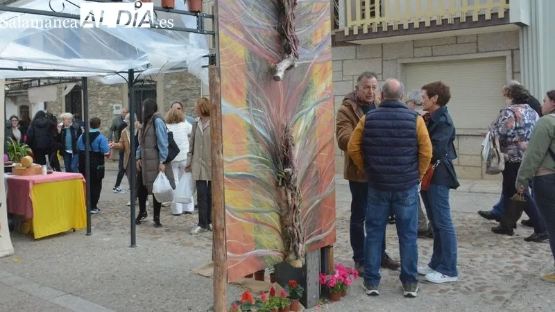 Foto 5 - La XXI Feria Internacional del Queso de Hinojosa de Duero se cierra con notable &eacute;xito a pesar de la lluvia