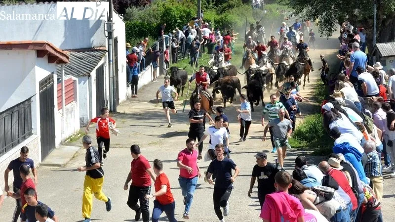 Foto 3 - Intensa jornada taurina en las fiestas de El Noveno de San Felices de los Gallegos 