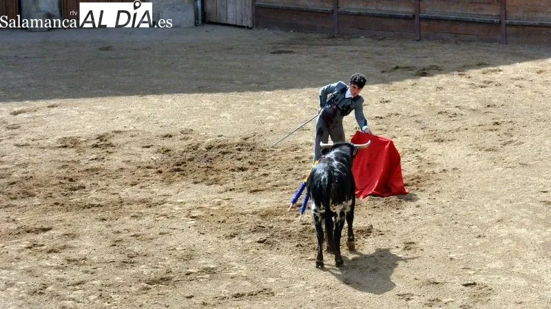 Foto 2 - San Felices de los Gallegos despide El Noveno con una animada tarde taurina