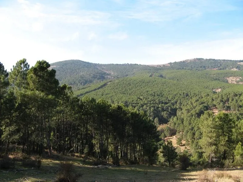 Foto 3 - &iquest;Conoces el Valle de Iruelas? Un enclave &uacute;nico a hora y media de Salamanca