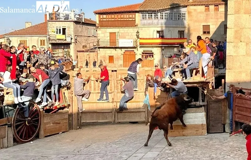 Foto 9 - Intensa jornada taurina en las fiestas de El Noveno de San Felices de los Gallegos 