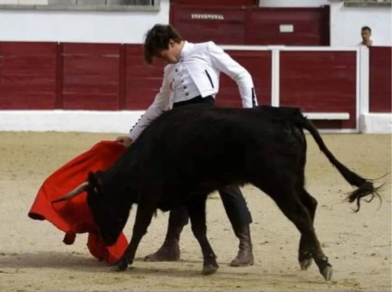 Armando Rojo