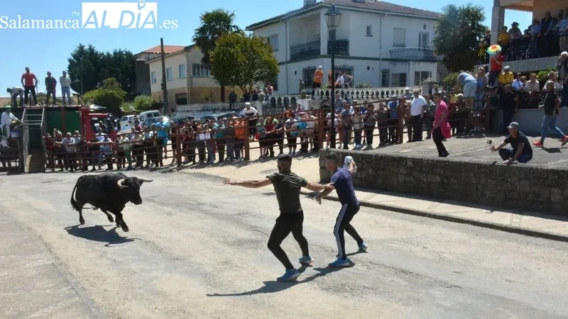 Foto 8 - Intensa jornada taurina en las fiestas de El Noveno de San Felices de los Gallegos 