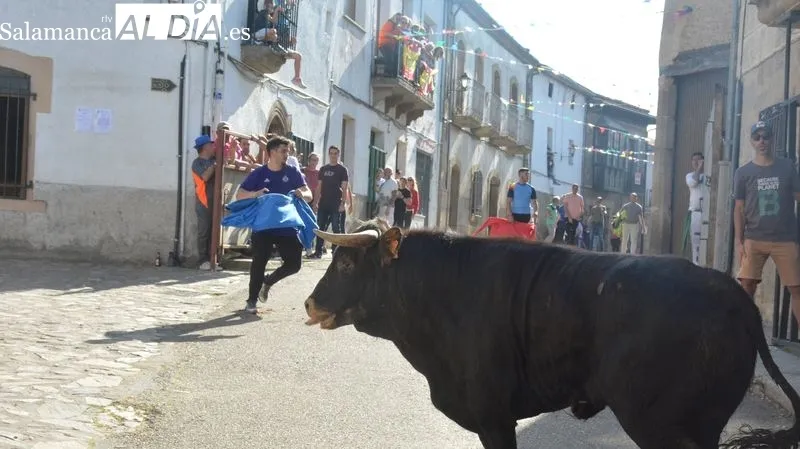 Foto 5 - San Felices de los Gallegos despide El Noveno con una animada tarde taurina