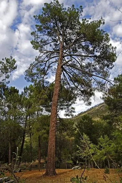Foto 2 - &iquest;Conoces el Valle de Iruelas? Un enclave &uacute;nico a hora y media de Salamanca
