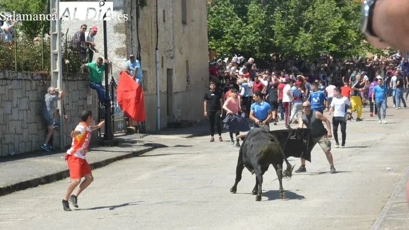 Foto 7 - Intensa jornada taurina en las fiestas de El Noveno de San Felices de los Gallegos 