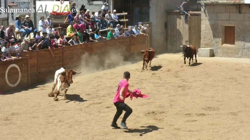 Foto 6 - Intensa jornada taurina en las fiestas de El Noveno de San Felices de los Gallegos 