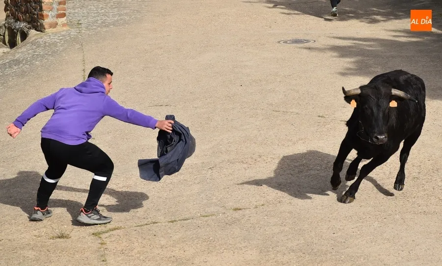 Foto 8 - La tarde taurina de Saelices suscita una notable expectaci&oacute;n pese a la competencia