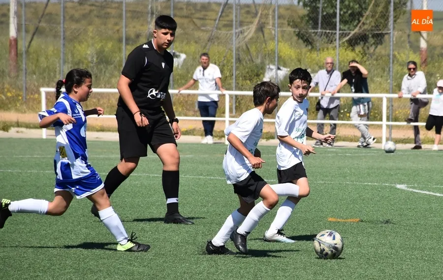Foto 2 - #M [11-12 MAY] C&oacute;modas victorias para despedir la liga del Alev&iacute;n B y el Benjam&iacute;n del Ciudad Rodrigo