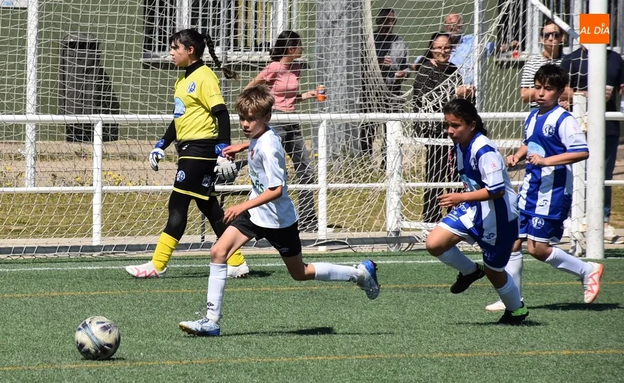 Foto 3 - #M [11-12 MAY] C&oacute;modas victorias para despedir la liga del Alev&iacute;n B y el Benjam&iacute;n del Ciudad Rodrigo
