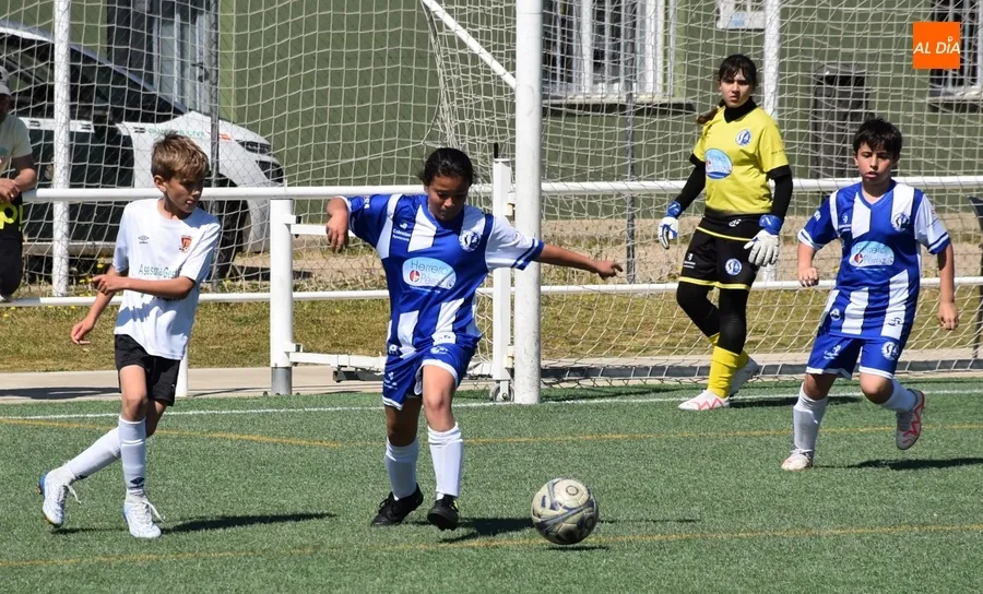 Foto 4 - #M [11-12 MAY] C&oacute;modas victorias para despedir la liga del Alev&iacute;n B y el Benjam&iacute;n del Ciudad Rodrigo